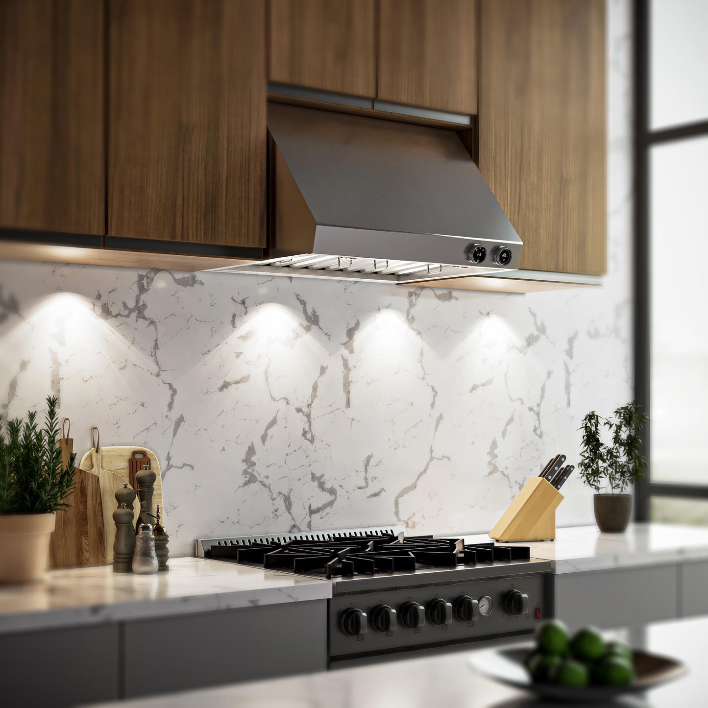 Forno FRHWM500930 Forno Biagio 30-Inch Wall Mounted Range Hood, Stainless Steel, Heavy Duty