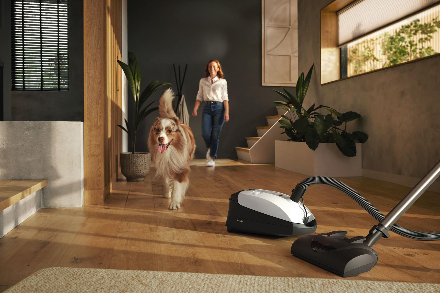 Miele CLASSIC C1 CAT DOG POWERLINE SBBN0LW Classic C1 Cat & Dog Powerline - Sbbn0 - Canister Vacuum Cleaners With Electrobrush For Thorough Cleaning Of Heavy-Duty Carpeting.