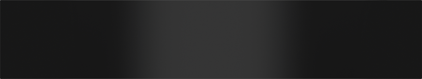 Wolf 831215 24" Black Glass Front Panel