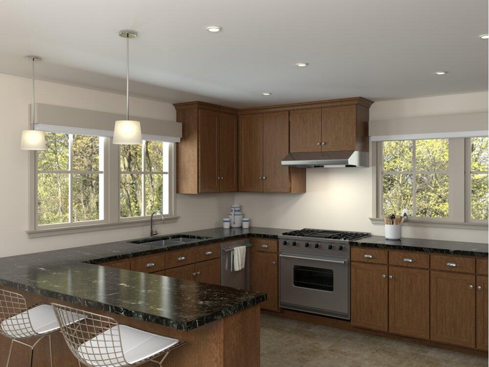 Zephyr AK6542CS 42" Cyclone Under-Cabinet