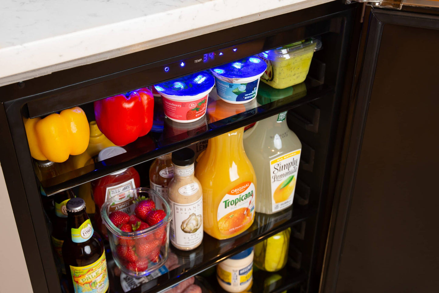 Azure Home Products A224RS Refrigerator 2.0 Indoor/Outdoor