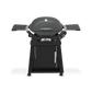 Weber 1500393 Q 2800N+ Gas Grill With Stand (Liquid Propane) - Charcoal Grey