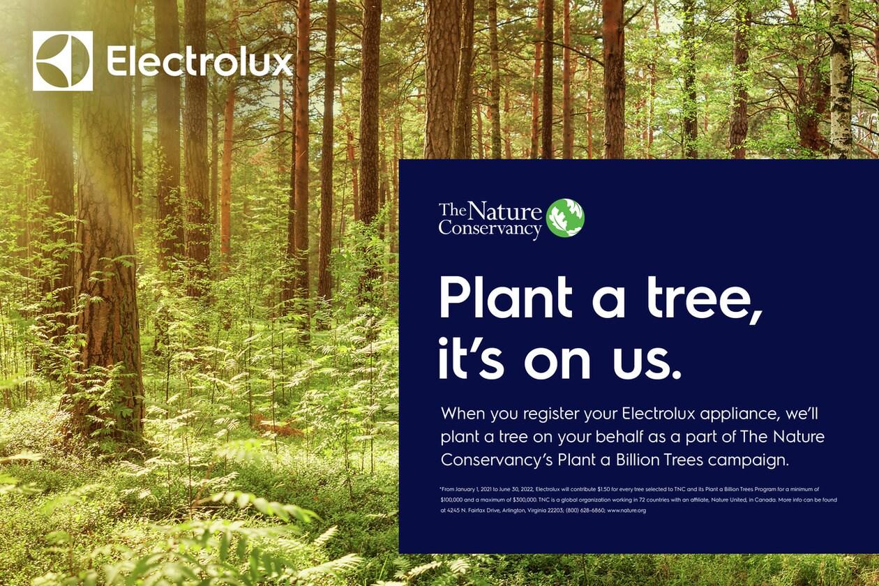 Electrolux EHAW4010AG Electrolux 267 Sq. Ft. Air Purifier