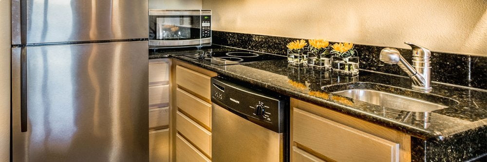 Kenyon B41603 120V Arctic 2 Burner Xl