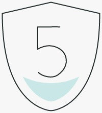 5 year plan