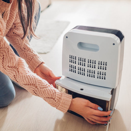 Does a Dehumidifier Help with Mold