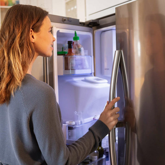 Tips on How to Prepare Your Refrigerator When Going On a Vacation