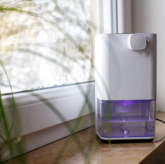 How to Clean a Dehumidifier