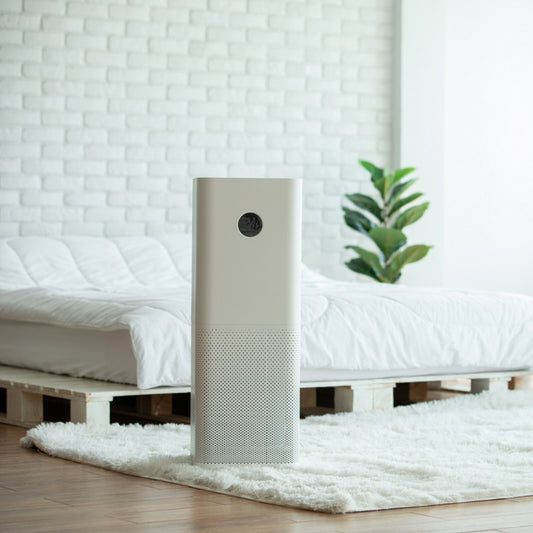 Where to Place an Air Purifier
