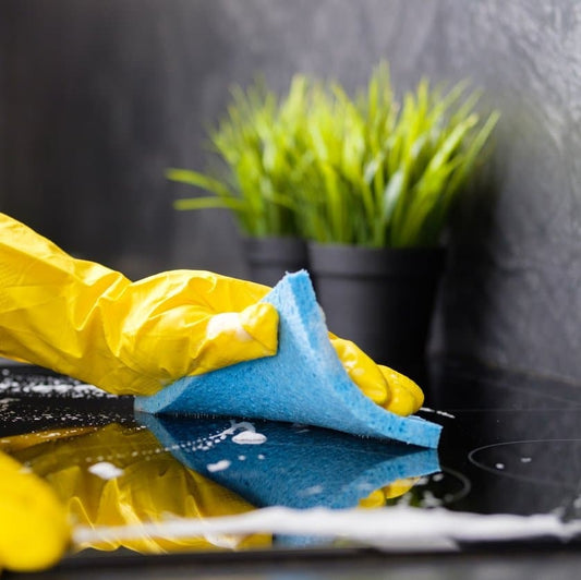 Your Appliance Cleaning Guide