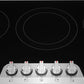 Frigidaire GCCE3670BS 36