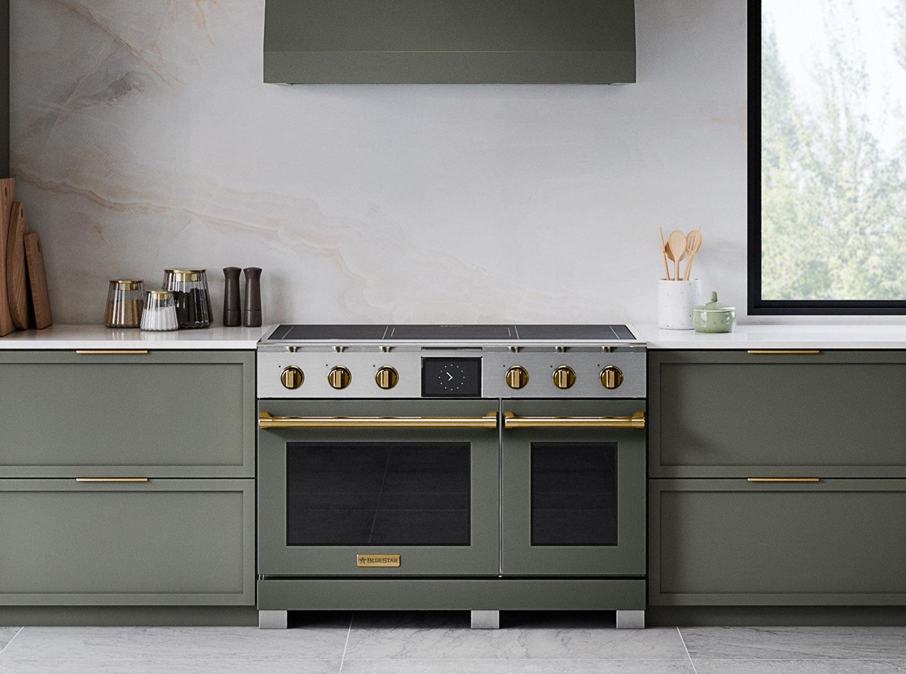 Bluestar BSPIR486Z 48" Platinum Induction