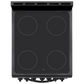 Element Appliance EER204MSCB Element 1.9 Cu. Ft. 20 Electric Range - Black (Eer204Mscb)