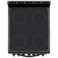 Element Appliance EER204MSCB Element 1.9 Cu. Ft. 20 Electric Range - Black (Eer204Mscb)