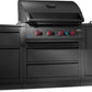 Napoleon Bbq ODK301BIG32RBNMK1 Oasis 301 Outdoor Kitchen, Built-In 700 Series 32 With Soft Close Doors , Natural Gas, Matte/Matt Black