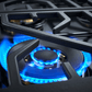 Forzacucina FR304DF 30 Professional Dual Fuel Range