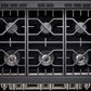 Forzacucina FR366SE 36 Professional Gas Range Se