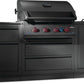 Napoleon Bbq ODK300BIG32RBPMK1 Oasis 300 Outdoor Kitchen, Built-In 700 Series 32 With Soft Close , Propane, Matte/Matt Black