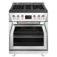Forzacucina FR304DF 30 Professional Dual Fuel Range
