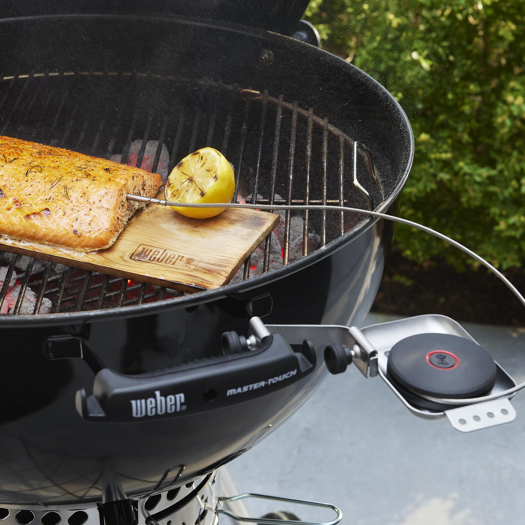 Weber 3400516 Smart Probe And Grate Sensor