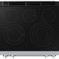 Samsung NSE90H63DR Bespoke Smart Slide-In Electric Range Flex Duo™ Oven Pro Style Design Dual True Convection
