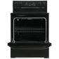 Element Appliance EER34MSCB Element 5.2 Cu. Ft. 30 Electric Range - Black (Eer34Mscb)