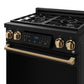 Thor Kitchen RSG30PBLPBRZ 30 Inch Professional Liquid Propane With Precision Knob Control In Black/Bronze