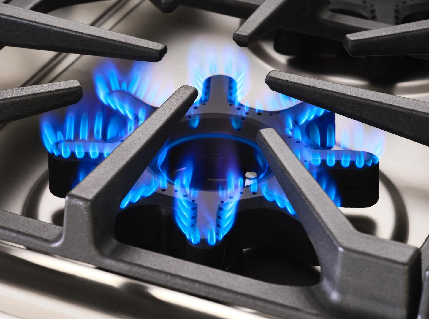 Bluestar BSDCTX8304B 30" X-8 Cooktop