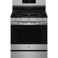 Ge Appliances PGF700AYFS Ge Profile™ 30