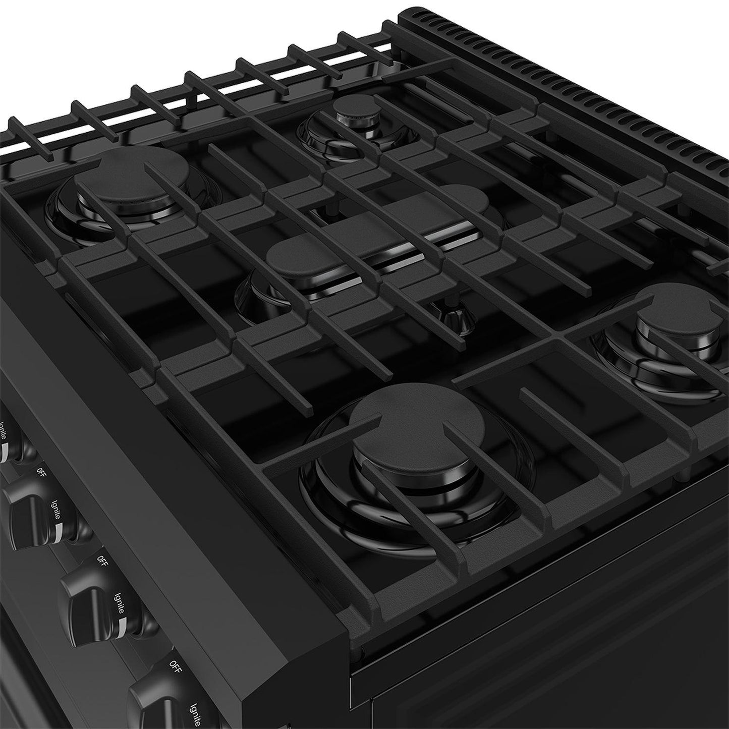 Thor Kitchen LRG3001UB 30 Inch Professional Gas Range In Black