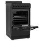 Element Appliance EER204MSCB Element 1.9 Cu. Ft. 20 Electric Range - Black (Eer204Mscb)