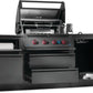 Napoleon Bbq ODK300BIG32RBPMK1 Oasis 300 Outdoor Kitchen, Built-In 700 Series 32 With Soft Close , Propane, Matte/Matt Black