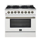Forno FFSGS615636WHT Forno Galiano 36