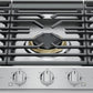 Frigidaire PCCG3080AS Frigidaire Professional 30