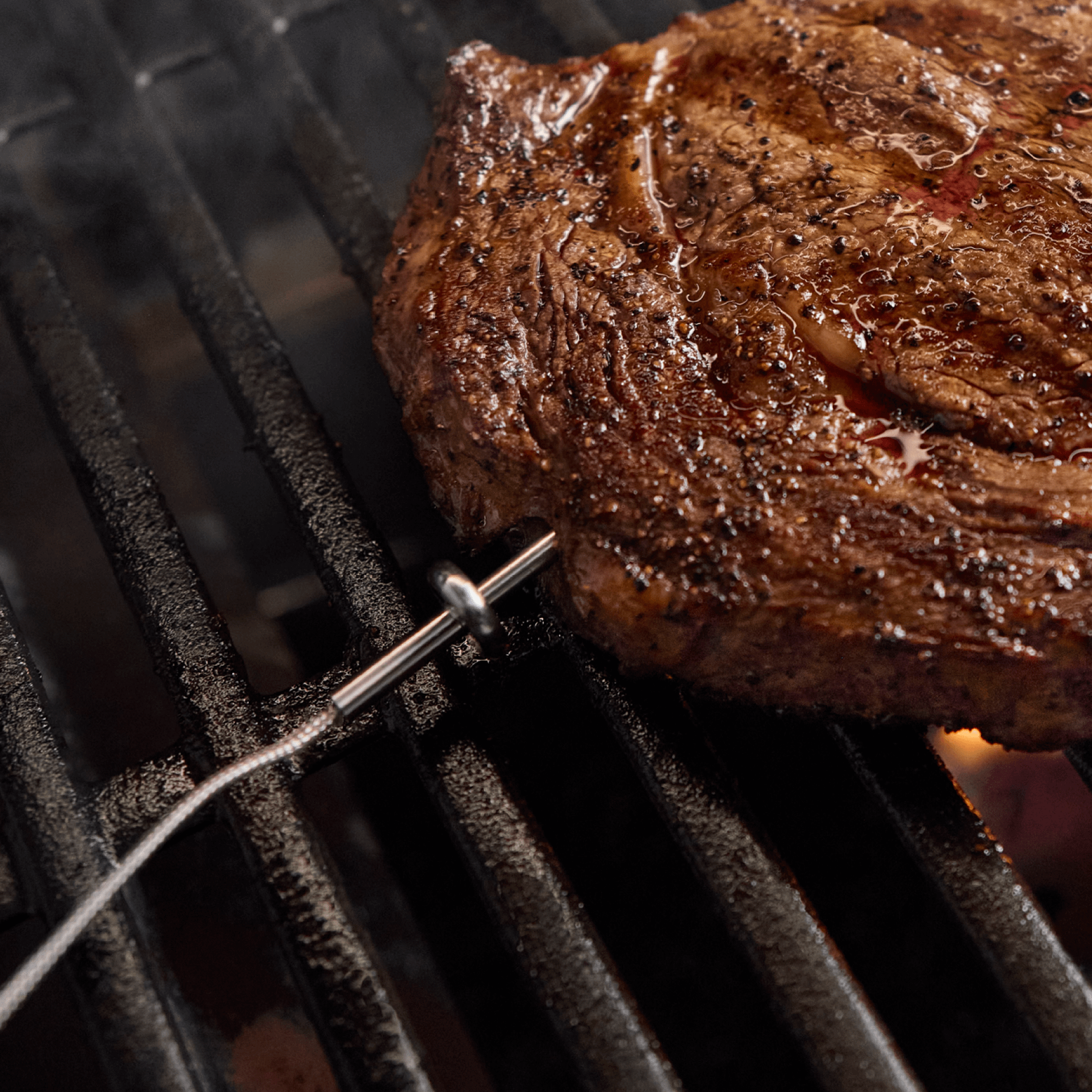 Weber 3400324 Wired Food Probe (Single Sensor)