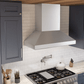 Zephyr AK7642CS Titan Wall, 42In, Ss, Truhue