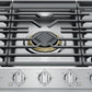 Frigidaire PCCG3080AS Frigidaire Professional 30