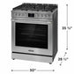 Frigidaire PCFG3080AF Frigidaire Professional 30