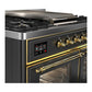 Ilve UMD40FNR3MGG Ilve Umd40Fnr3Mgg Majestic Iii 40 Inch Dual Fuel Range With 6 Burners And Griddle, Dual Function Burner Up To 25,000 Btu (Natural Gas, Triple Glass Door, Graphite Matte, Brass)