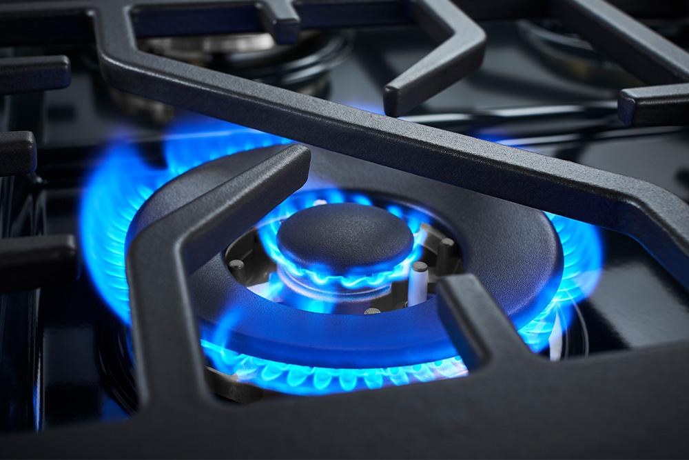 Forzacucina FR304SE 30 Professional Gas Range Se