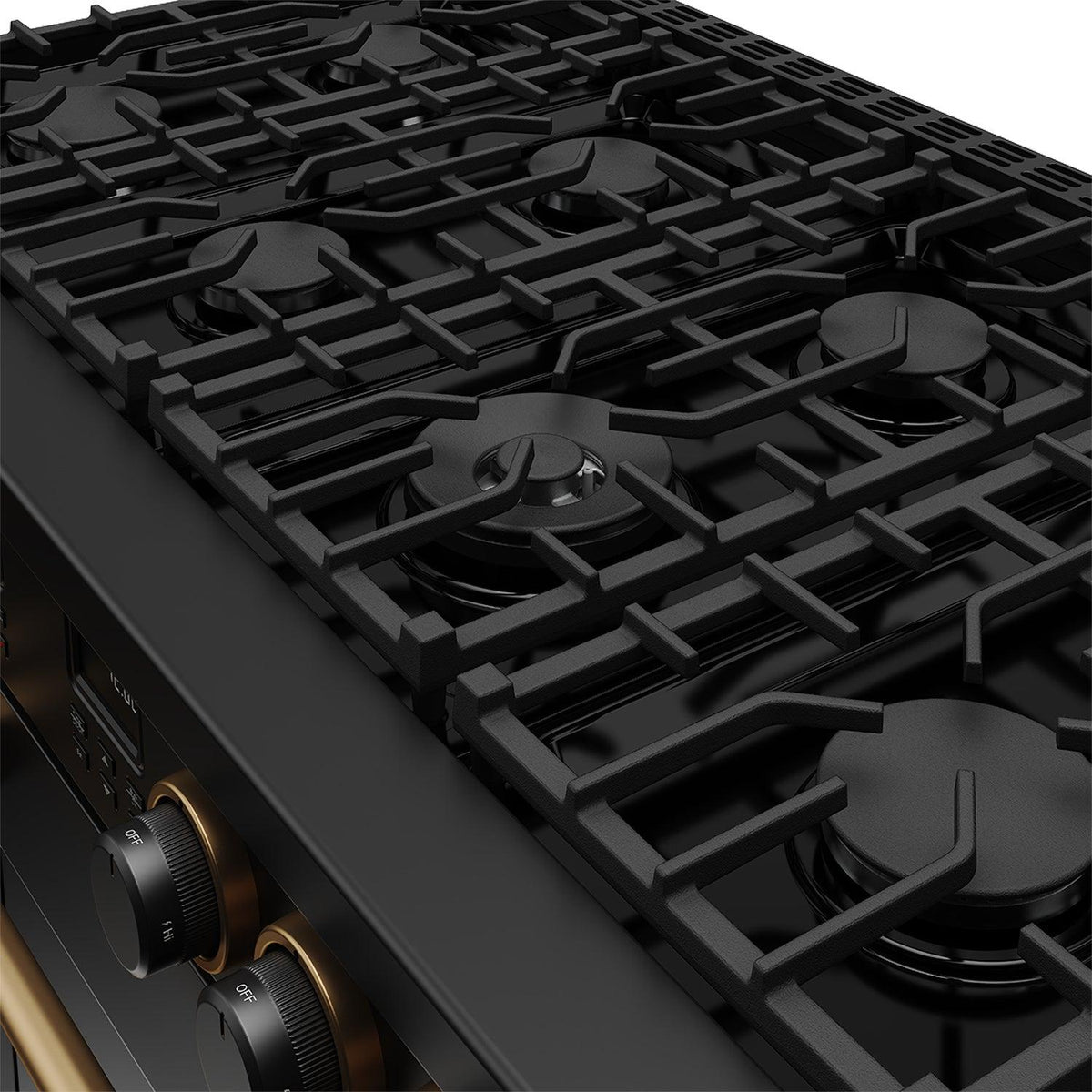 Thor Kitchen ARG48BBRZ 48 Inch Contemporary Professional Liquid Propane Range In Black/Bronze