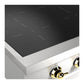 Ilve UHCPI366NSSG Ilve Uhcpi366Nssg Nostalgie Ii 36 Inch Built-In Induction Rangetop With 6 Elements (Stainless Steel, Brass)