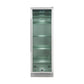 Forno FFSDA683324 Forno Asciutto 24-Inch Dry Aging Cabinet, Stainless Steel 304, 14.66 Cu.Ft, Uv Sterilization