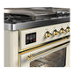 Ilve UM60FSNR3AWGLP Ilve Um60Fsnr3Awglp Majestic Iii 60 Inch Dual Fuel Range With 7 Burners, Griddle And French Top, Dual Function Burner With Up To 25,000 Btu (Liquid Propane, Triple Glass Door, Antique White, Brass)