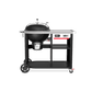 Weber 1501563 22