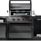 Napoleon Bbq ODK300BIG32RBPMK1 Oasis 300 Outdoor Kitchen, Built-In 700 Series 32 With Soft Close , Propane, Matte/Matt Black