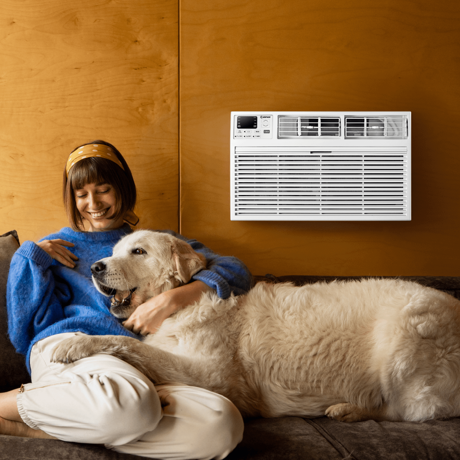Element Appliance ETTW10EV Element Through-The-Wall 10,000 Btu 230V Air Conditioner - White (Ettw10Ev)