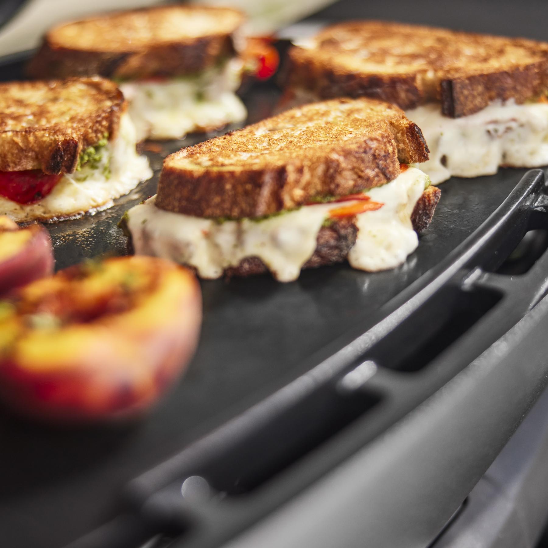 Weber 1500391 Q 2800N+ Gas Grill With Stand (Liquid Propane) - Flame Red