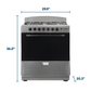 Element Appliance EEGR3A6MCCS Element Electronics 4.0 Cu. Ft. 30