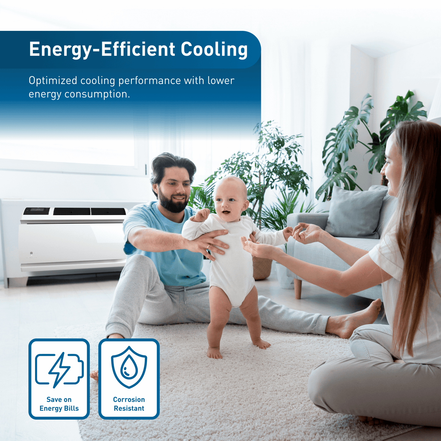 Friedrich WCVT10B30A Friedrich Wallmaster Inverter 10,000 Btu 230V Smart Through-The-Wall Air Conditioner - Cool Only